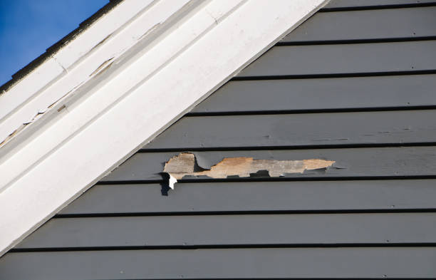 Shed Removal in Monona, IA